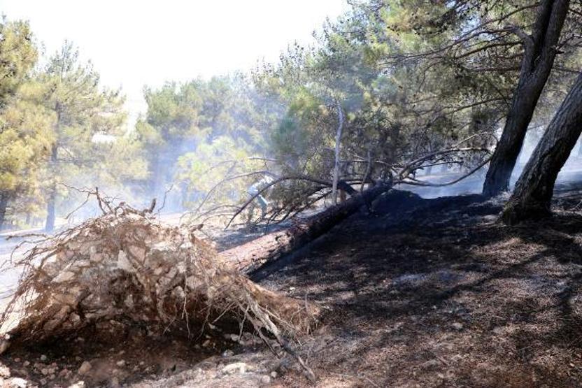 Son dakika... Orman yangınına kaymakam ve vatandaşlar da müdahale etti
