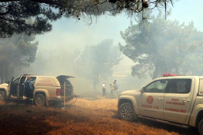 Son dakika... Orman yangınına kaymakam ve vatandaşlar da müdahale etti