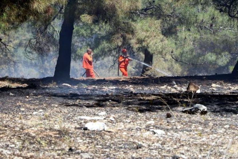 Son dakika... Orman yangınına kaymakam ve vatandaşlar da müdahale etti