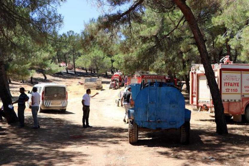 Son dakika... Orman yangınına kaymakam ve vatandaşlar da müdahale etti