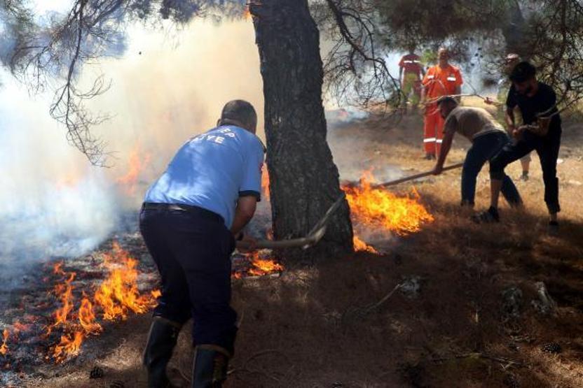 Son dakika... Orman yangınına kaymakam ve vatandaşlar da müdahale etti