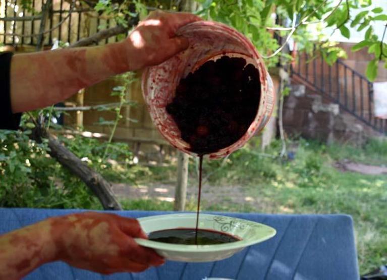 Birçok hastalığa iyi geliyor Dertlere deva karaduta yoğun talep var