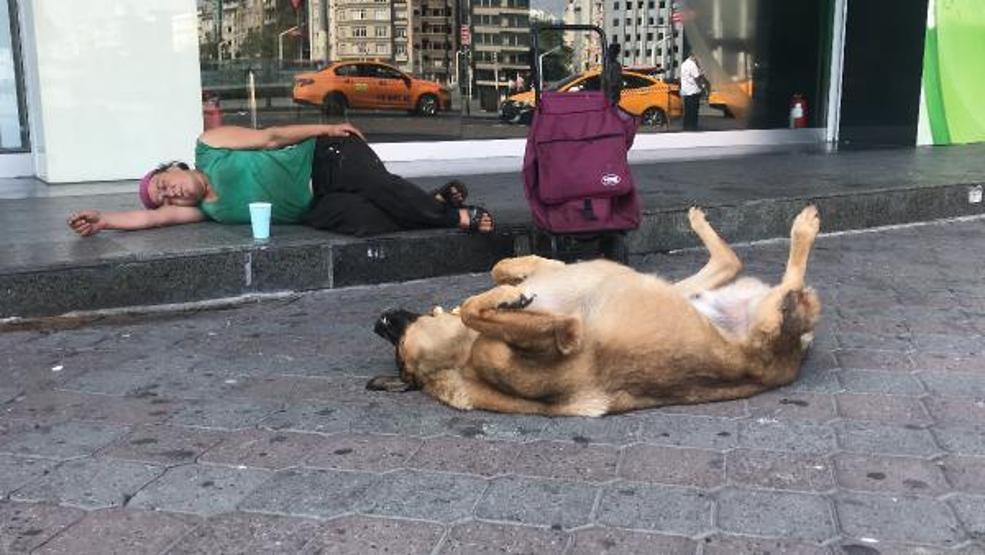 Son dakika.... Taksimde herkesin ilgisini çeken an