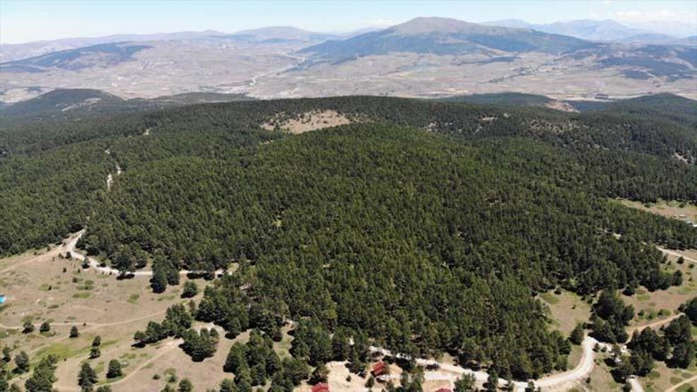 Dumanlı Yaylası doğasıyla misafirlerini cezbediyor