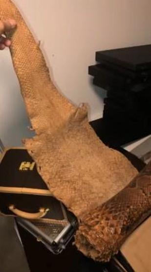 İş adamları ve ünlüleri dolandıran çeteye operasyon