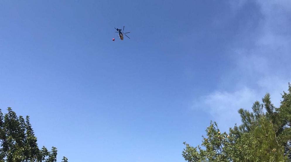 Son dakika... Bursada yerleşim bölgesi yakınında orman yangını