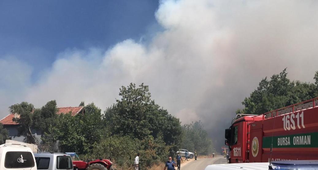 Son dakika... Bursada yerleşim bölgesi yakınında orman yangını