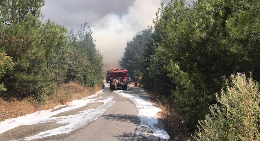 Son dakika... Bursada yerleşim bölgesi yakınında orman yangını