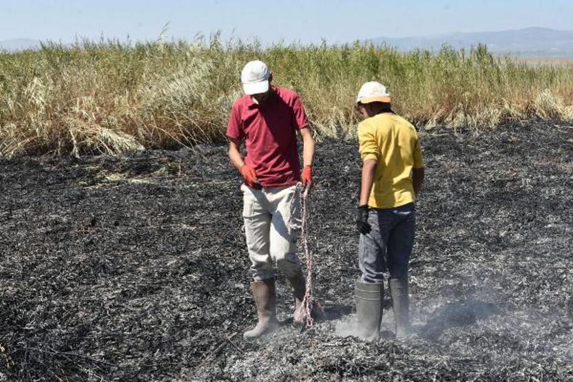 Son dakika... Meteor yangını olduğu iddia edilen alanda mıknatıslarla gök taşı aradılar