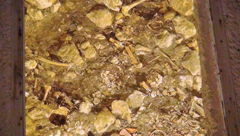 Dara Antik Kentinde dünyada benzeri olmayan galeri mezara ilgi