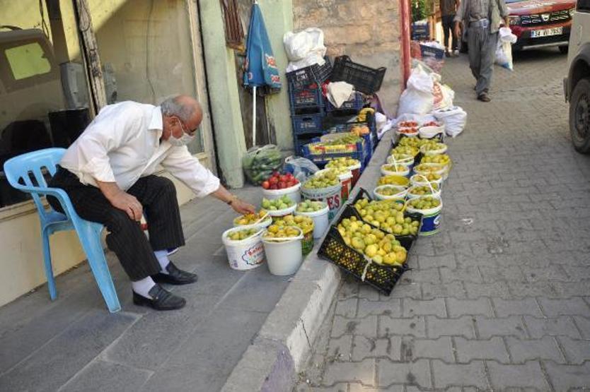 Son dakika.. 9 çeşidin yetiştiği incirde hasat zamanı