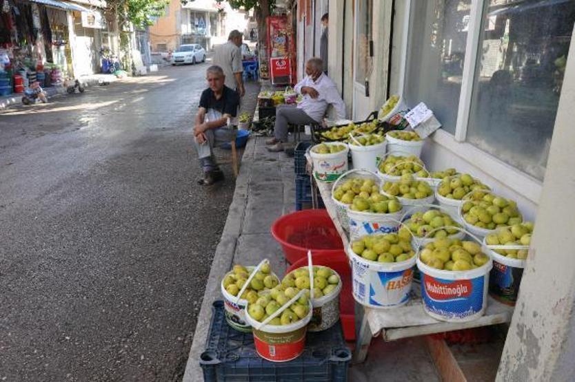 Son dakika.. 9 çeşidin yetiştiği incirde hasat zamanı