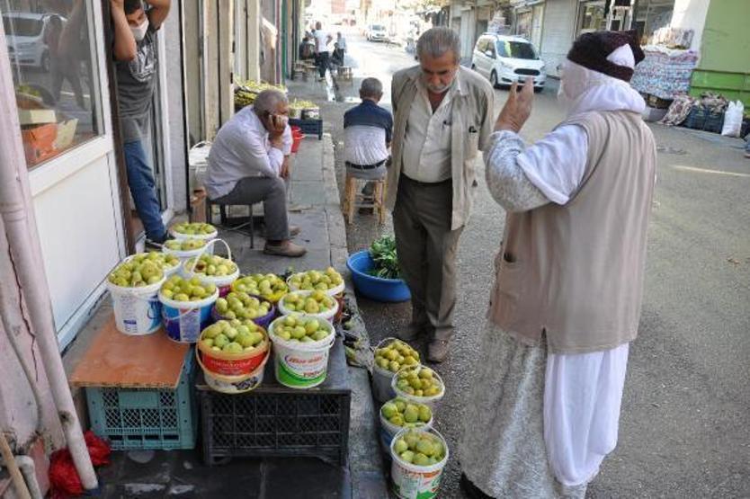 Son dakika.. 9 çeşidin yetiştiği incirde hasat zamanı