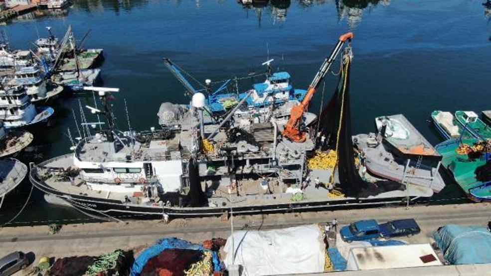 Son dakika.. Sezonu erken kapatan balıkçılar yeni sezondan umutlu