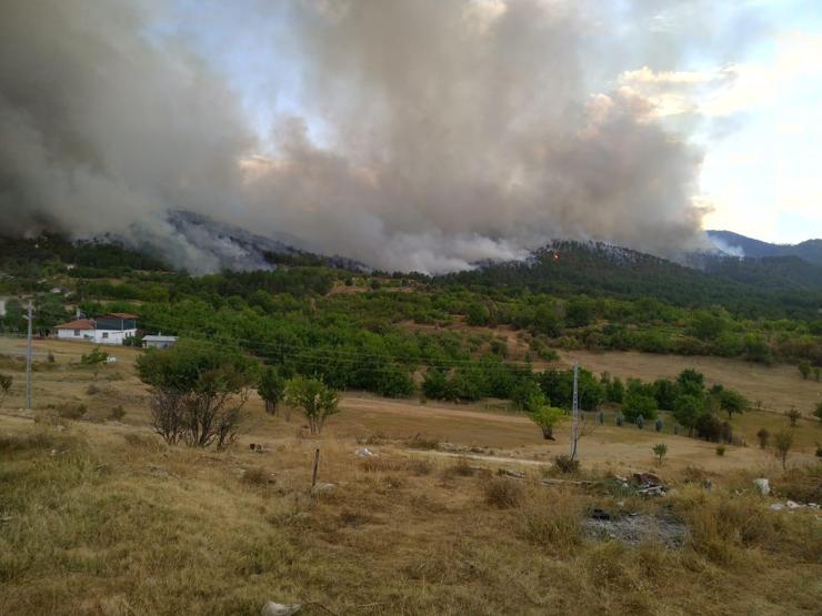 Ankarada yeniden orman yangını