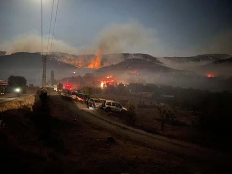 Ankarada yeniden orman yangını