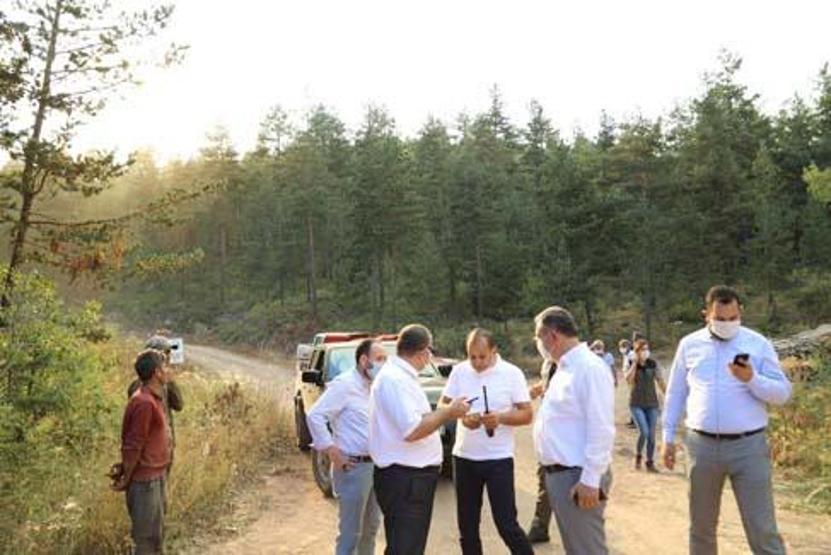Ankarada orman yangını Ekipler müdahale ediyor