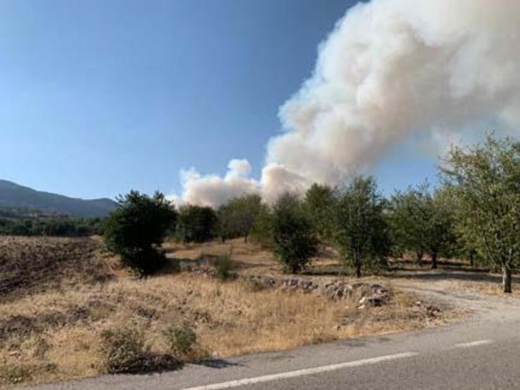 Ankarada orman yangını Ekipler müdahale ediyor