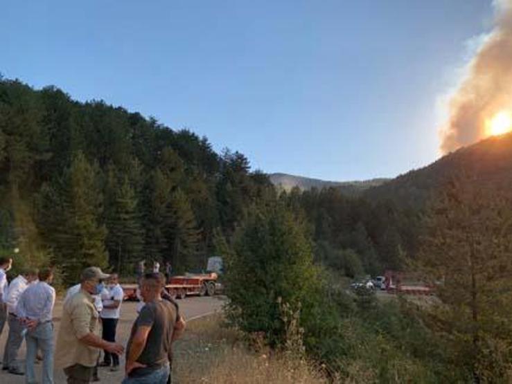 Ankarada orman yangını Ekipler müdahale ediyor