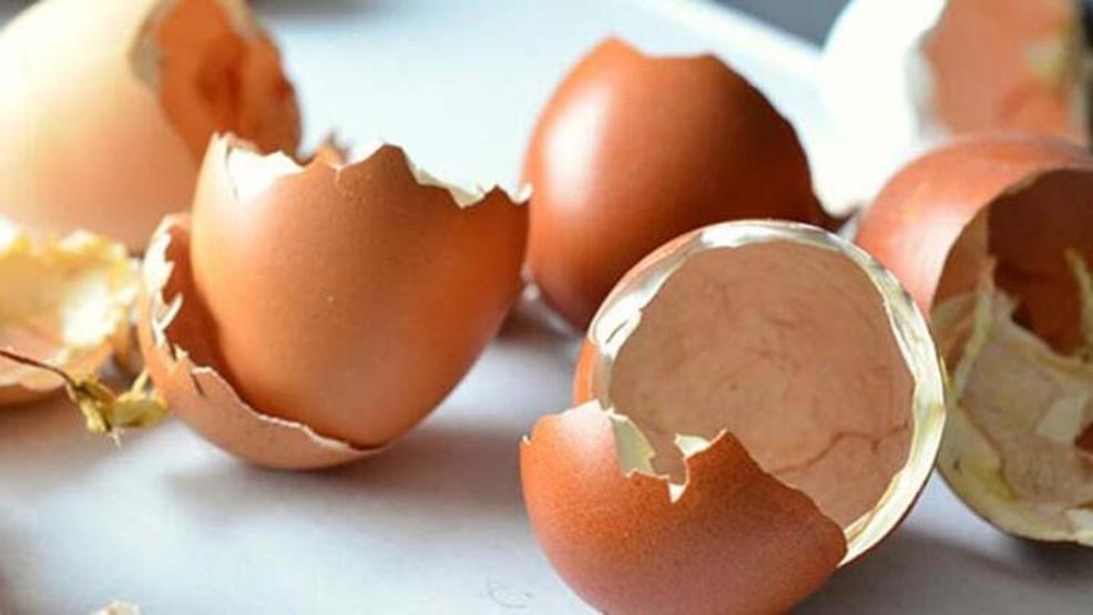 Herkes çöpe atıyor ama tam bir vitamin deposu