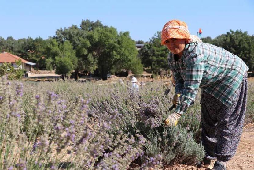Nefes darlığı ve öksürüğe iyi geliyor Koronavirüs sonrası satışlar patladı