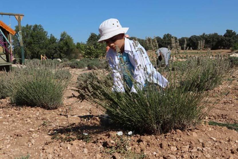Nefes darlığı ve öksürüğe iyi geliyor Koronavirüs sonrası satışlar patladı