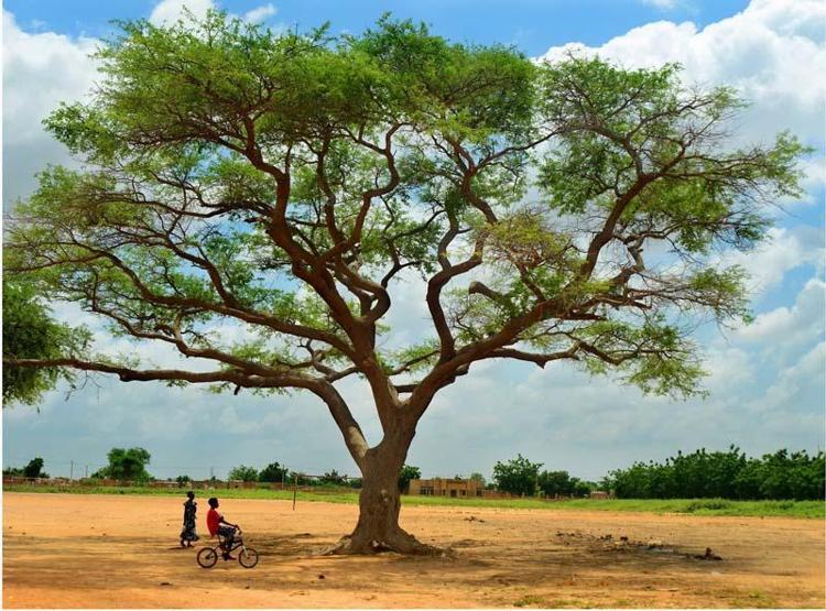 İTO’dan “Afrika Masumiyet” kitabı