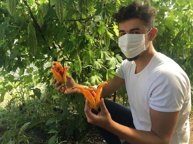 Faydasını duyan alıyor Koronavirüs sürecinde talep daha da arttı