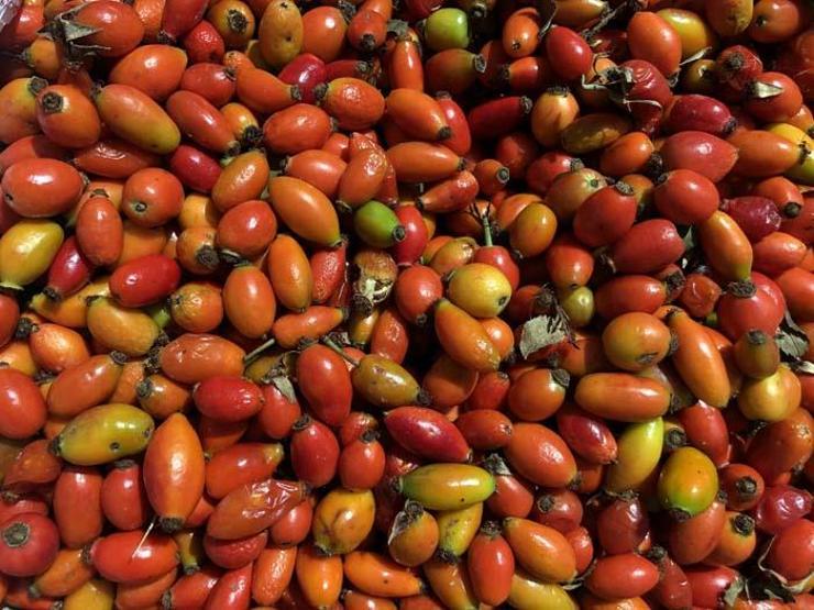 C vitamini deposu Bu dönemde bol bol tüketin
