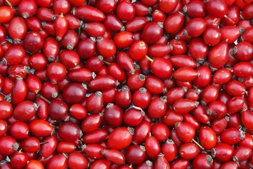 C vitamini deposu Bu dönemde bol bol tüketin
