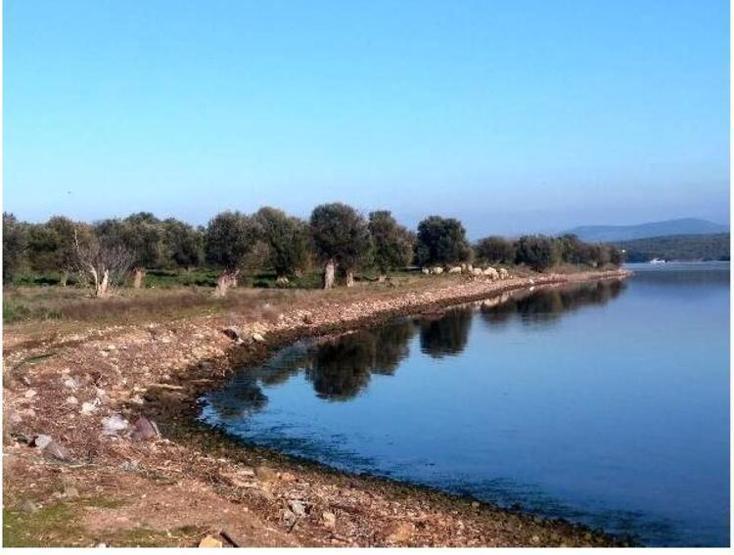 Hülya Avşar, Ayvalık Çiçek Adası’nı 55 milyon TL’ye satın mı aldı Açıklama geldi