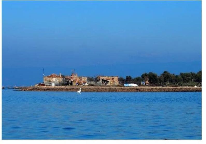 Hülya Avşar, Ayvalık Çiçek Adası’nı 55 milyon TL’ye satın mı aldı Açıklama geldi