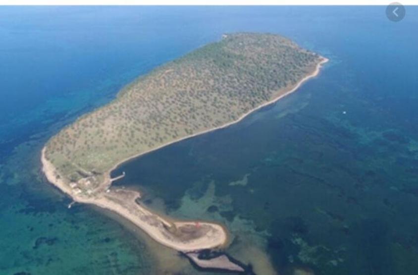 Hülya Avşar, Ayvalık Çiçek Adası’nı 55 milyon TL’ye satın mı aldı Açıklama geldi