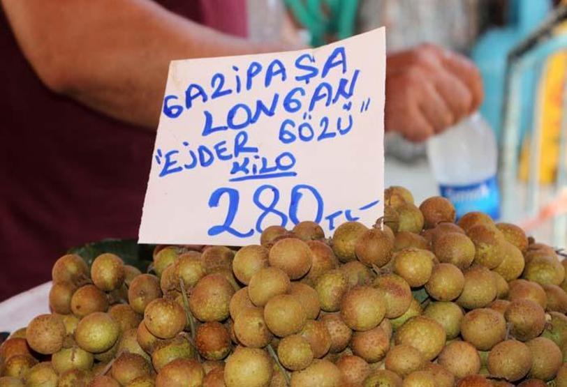Antalyada yetişiyor Kilosu 350 lira