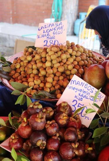 Antalyada yetişiyor Kilosu 350 lira