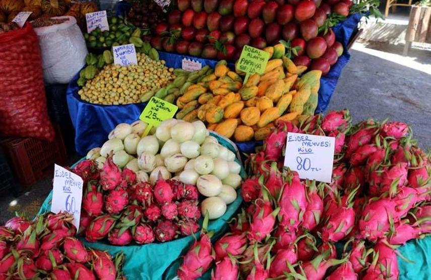 Antalyada yetişiyor Kilosu 350 lira
