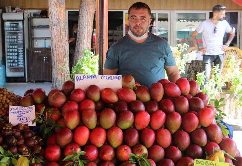 Antalyada yetişiyor Kilosu 350 lira
