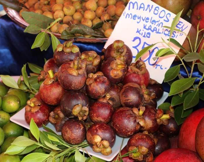 Antalyada yetişiyor Kilosu 350 lira