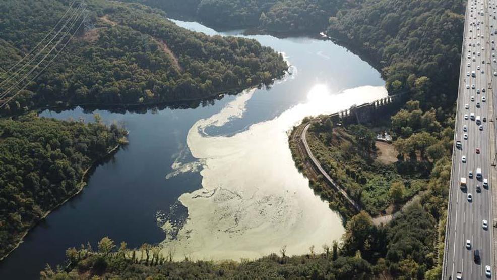 Son dakika... Endişelendiren görüntü Elmalı Barajındaki yeşil tabaka arttı
