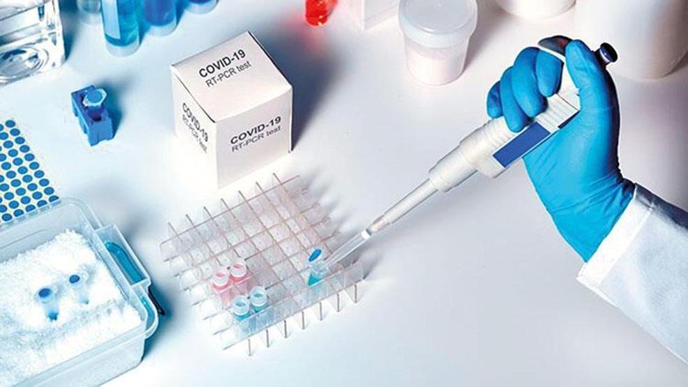 Koronavirüs aşısı bulunsa bile gelecek bahara kadar hayat normale dönmeyecek