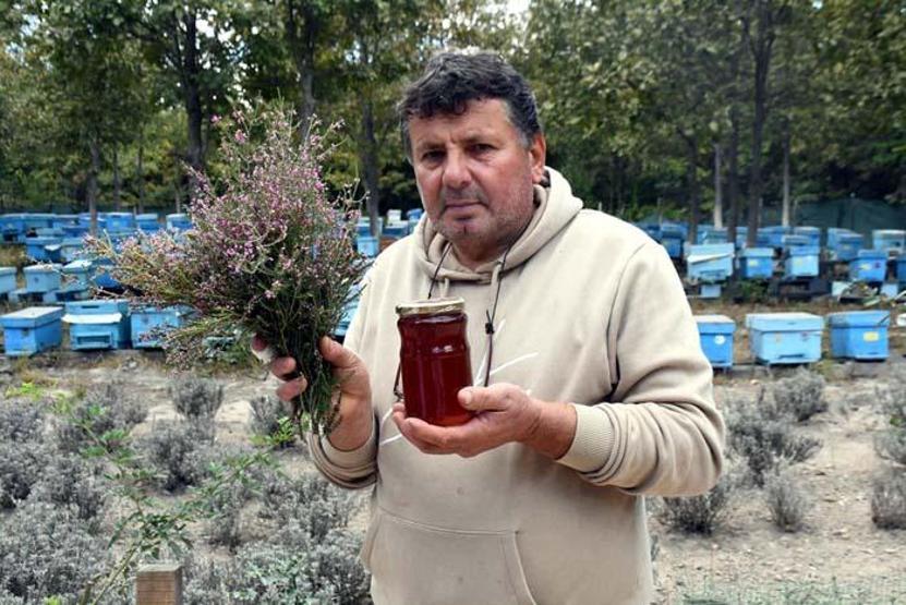 Şifa deposu Pandemi döneminde talep daha da arttı