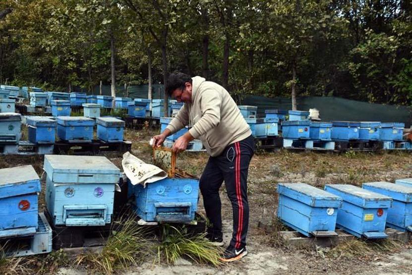 Şifa deposu Pandemi döneminde talep daha da arttı