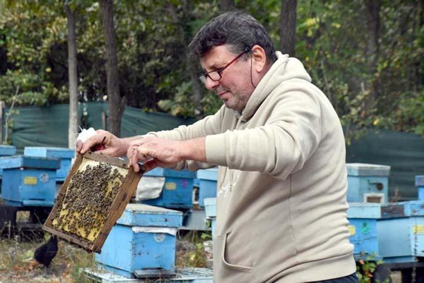Şifa deposu Pandemi döneminde talep daha da arttı