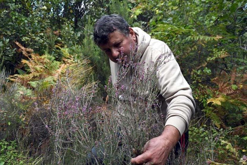 Şifa deposu Pandemi döneminde talep daha da arttı