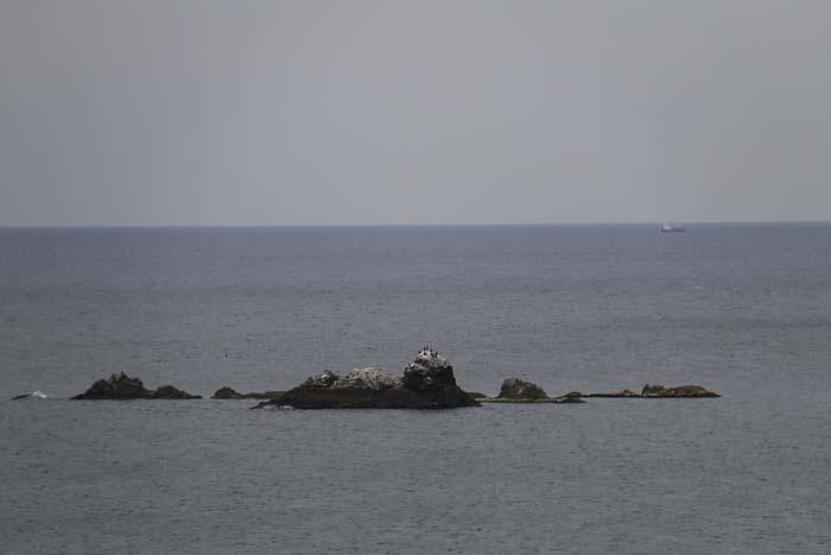 İstanbul’un ıssız adası Çok az kişi biliyor