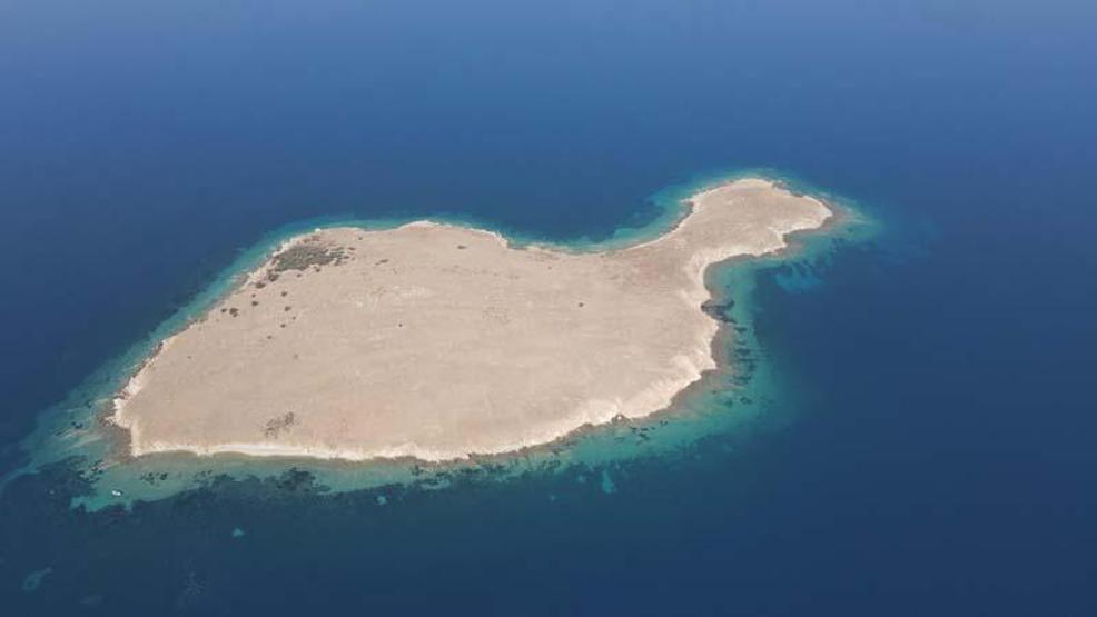 Son dakika... Ayvalıkta, Kız Adası da kesin korunacak hassas alan ilan edildi