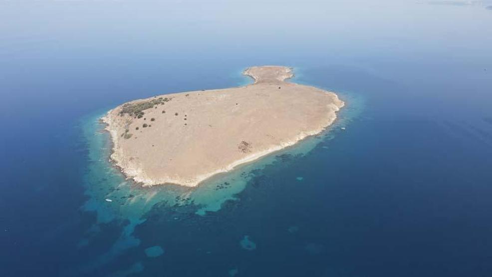 Son dakika... Ayvalıkta, Kız Adası da kesin korunacak hassas alan ilan edildi