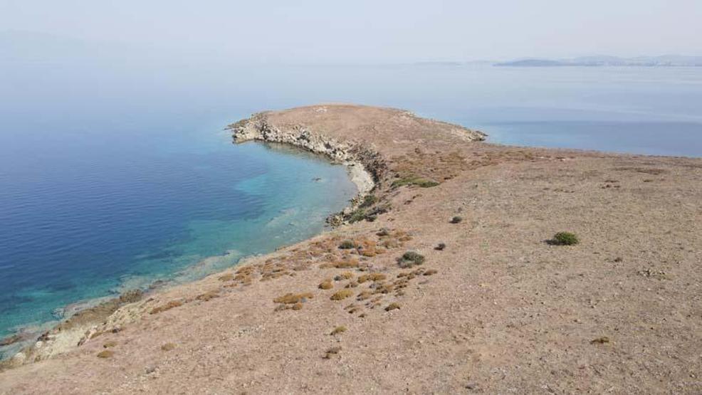 Son dakika... Ayvalıkta, Kız Adası da kesin korunacak hassas alan ilan edildi