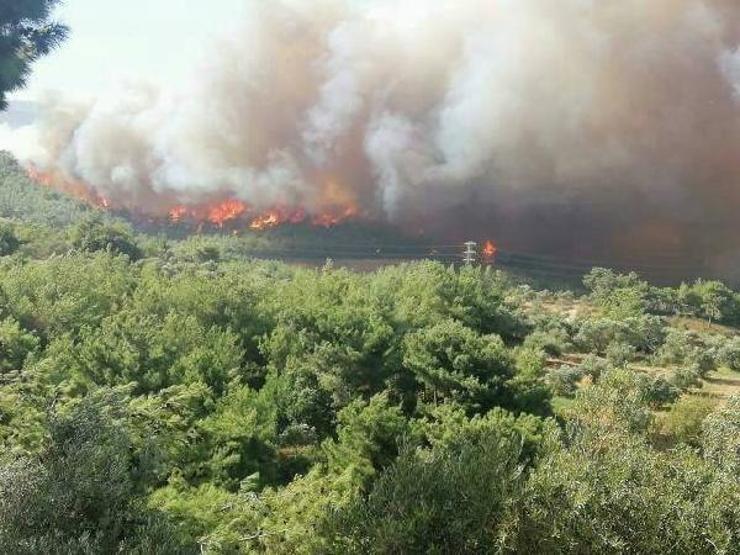 Son dakika Hataydaki orman yangını yerleşim yerlerine yaklaştı 70 kişi yangından etkilendi