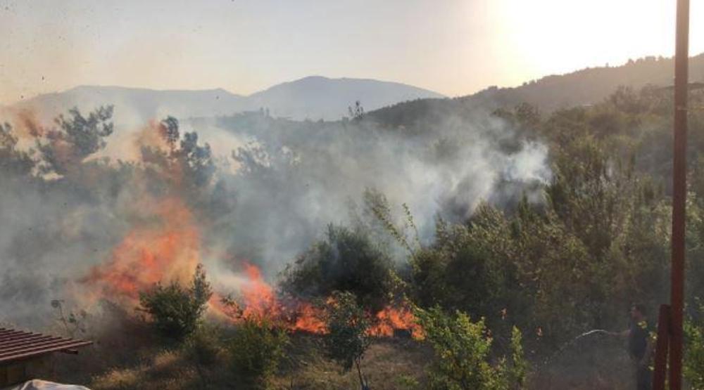 Son dakika haberi... Hataydaki orman yangını kontrol altına alındı Çok ciddi kasıt şüpheleri ortaya çıktı